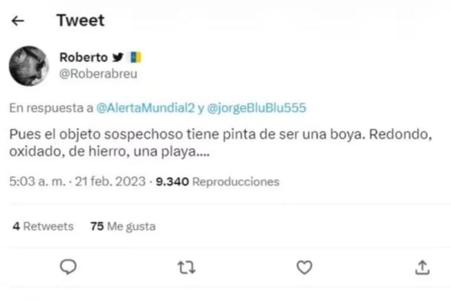 "¿Llegó Gokú?"; bola gigante aparece en playa de Japón y desconcierta a las autoridades