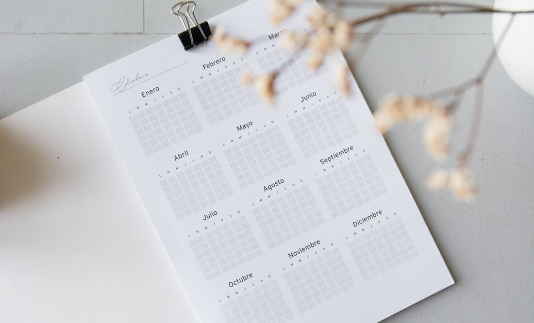 El próximo 5 de junio se celebra el Día Mundial del Medio Ambiente / Foto: Pexels