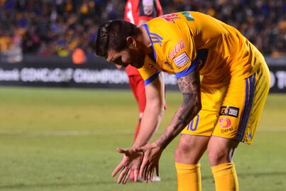 Para google, Tigres es un equipo 'Chico'