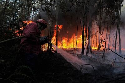 Suman 104 incendios forestales en Veracruz