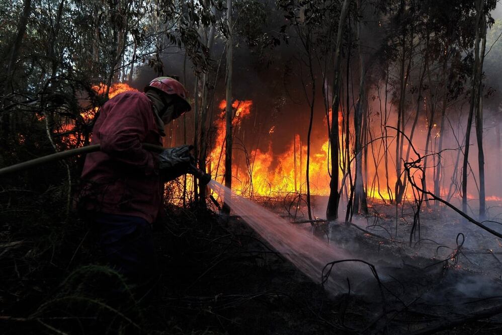 Foto: Archivo EL UNIVERSAL 