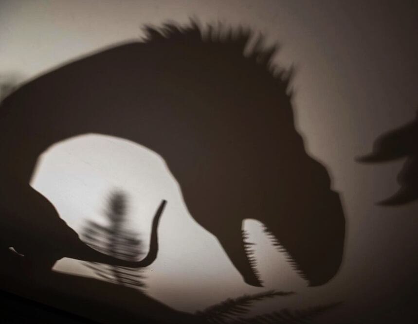 Se muestra la conexión ininterrumpida que existe entre las aves modernas y los dinosaurios.
Foto: Tomada de las redes sociales de Universum