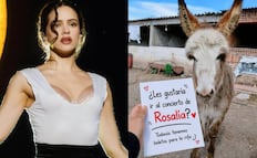 Rosalía da de comer a 103 burritos mexicanos