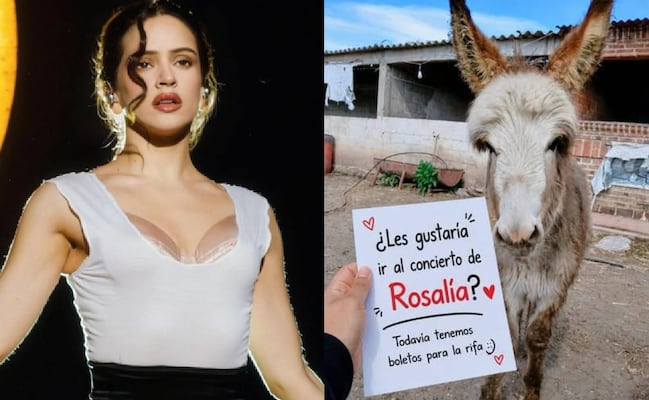 Rosalía da de comer a 103 burritos mexicanos