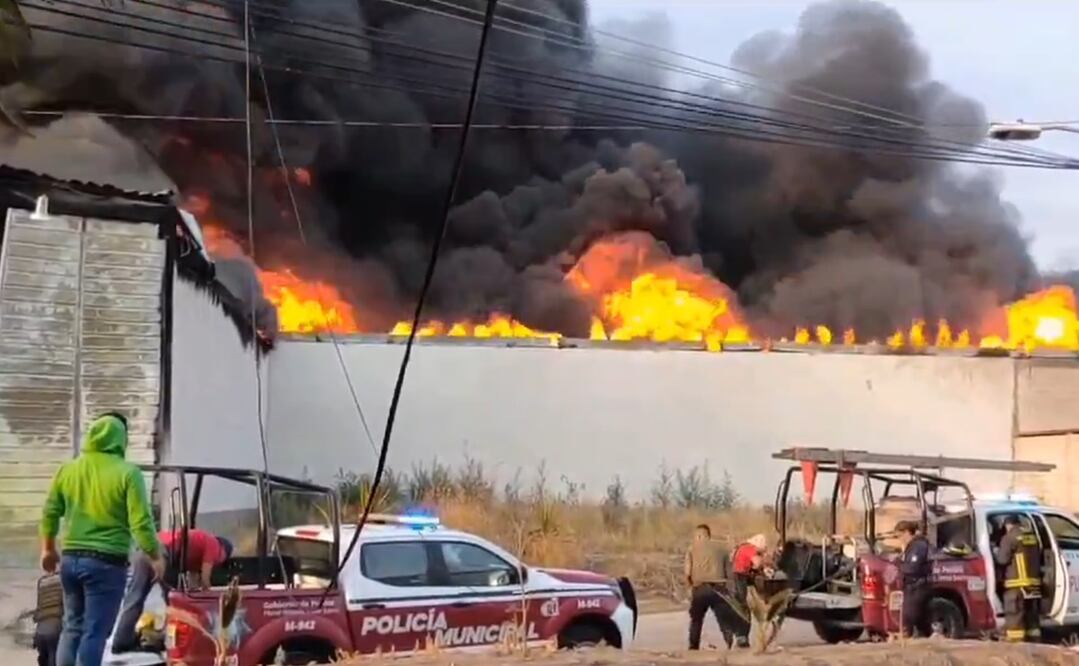 Foto: captura de pantalla