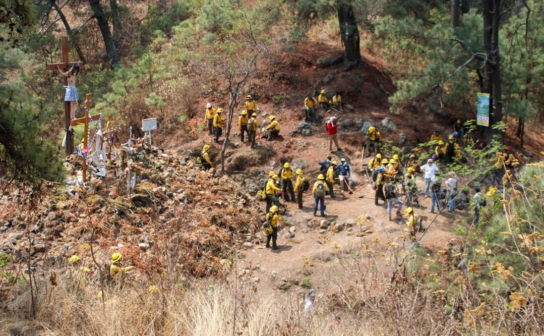 Brigadistas. Foto ilustrativa