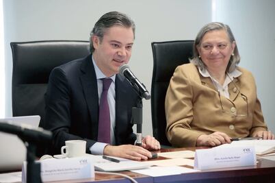 INEE: hay riesgo de claudicar en reforma