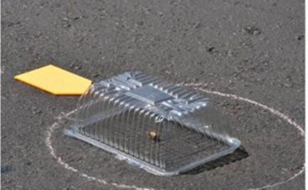 Asesinan a dos mujeres en una estética en Tlalpexco, GAM