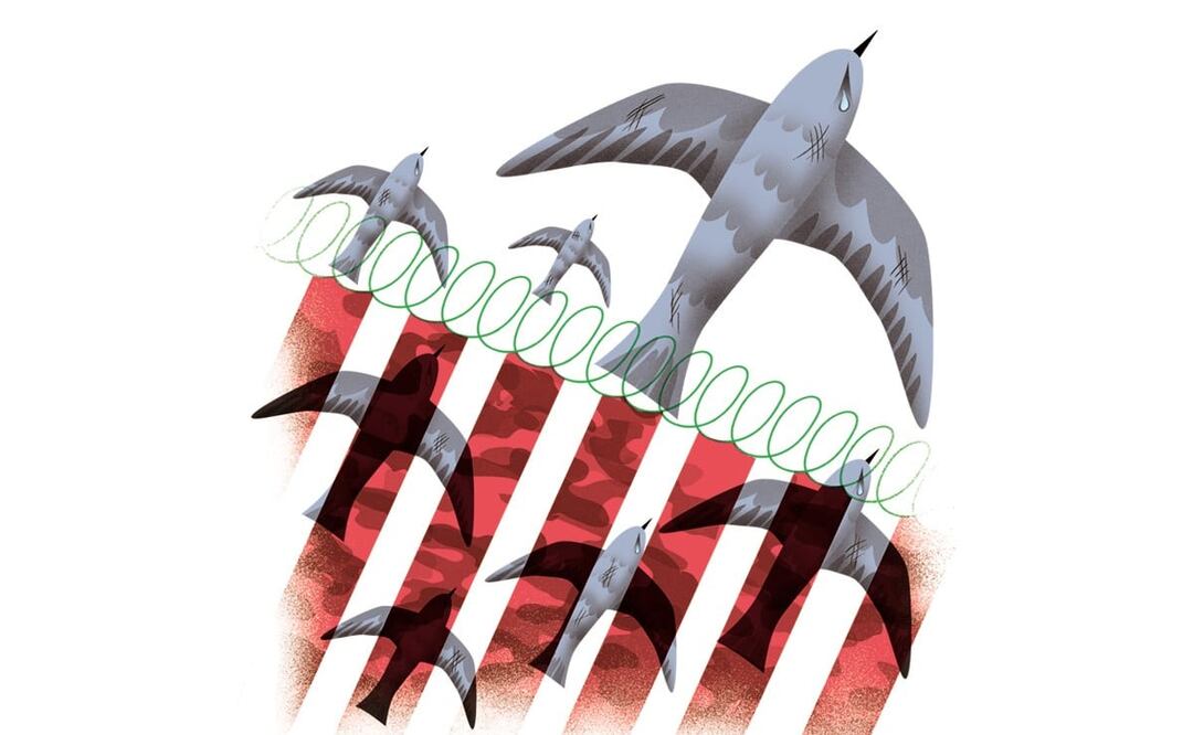 Ilustración: Ani Cortés