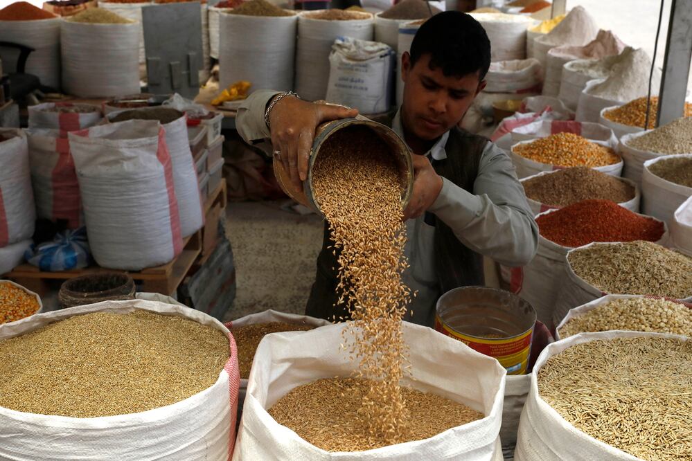 Entre las principales exportaciones agrícolas de México están el aguacate, limón, mango, vegetales, agave, además de ser el primer proveedor de azúcar y tequila a Estados Unidos. Foto: EFE