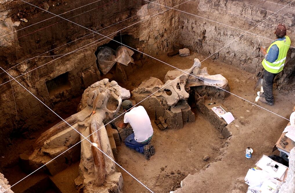 Foto Juan Manuel Barrera