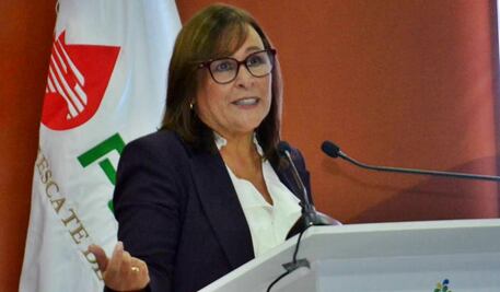 Reforma eléctrica no viola tratados internacionales, asegura Rocío Nahle; “Nos quieren amenazar con el petate del muerto”