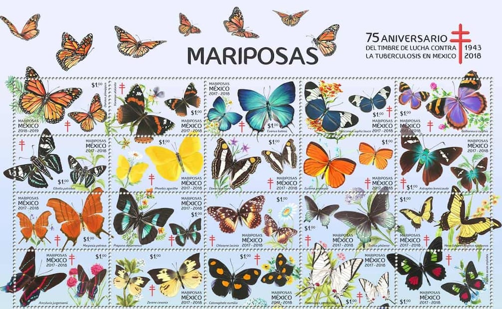 Última emisión del timbre antituberculoso en México, 2018, cuando se cumplían 75 años del primer lanzamiento. En la actualidad, el mejor sitio para observar estos sellos es el Museo de Filatelia de Oaxaca. Foto: Cortesía Alejandro Grossmann/ESPECIAL.