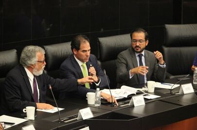 Aprueba Senado Miscelánea Penal y la regresa a Diputados