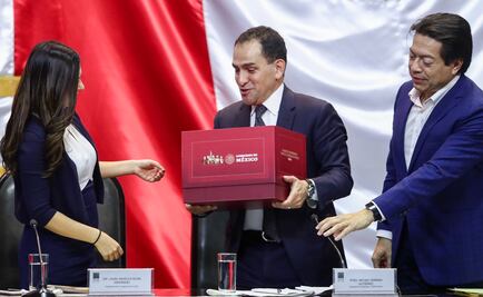 Plantean reducción de presupuesto del 41% para la Presidencia en 2020