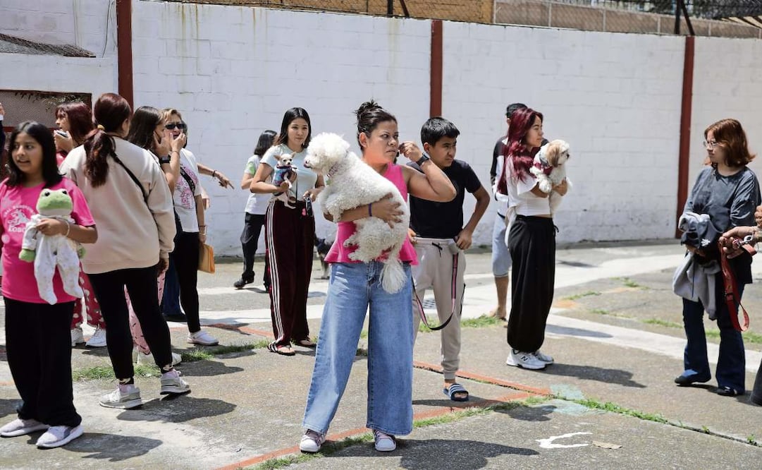A las 12:00 sonó la alerta en celulares y en 98.93% de los altavoces, pero no todos los ciudadanos evacuaron. Foto: CARLOS MEJÍA