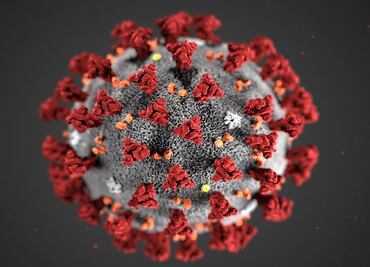 Pareja en el Edomex no tiene coronavirus: Secretaria de Salud estatal