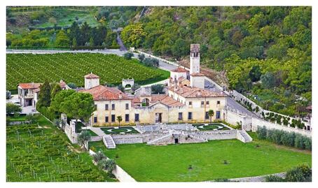  Allegrini: tradición, calidad e innovación en el arte del vino. 