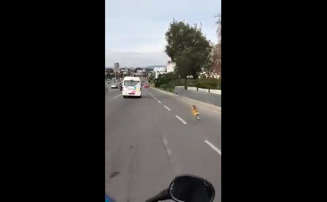 Foto: captura de pantalla