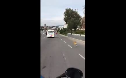 Dueños abandonan a lomito y los corretea en el Periférico de Zapopan, Jalisco: VIDEO