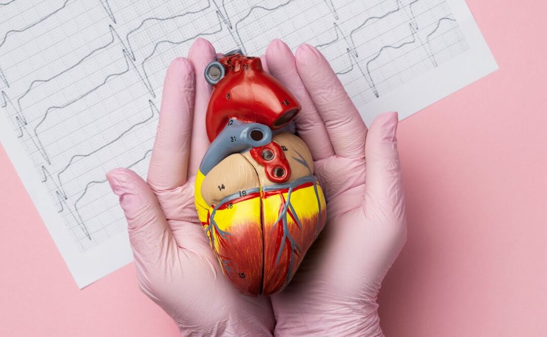 Rutina para controlar el colesterol. Fuente: Freepik