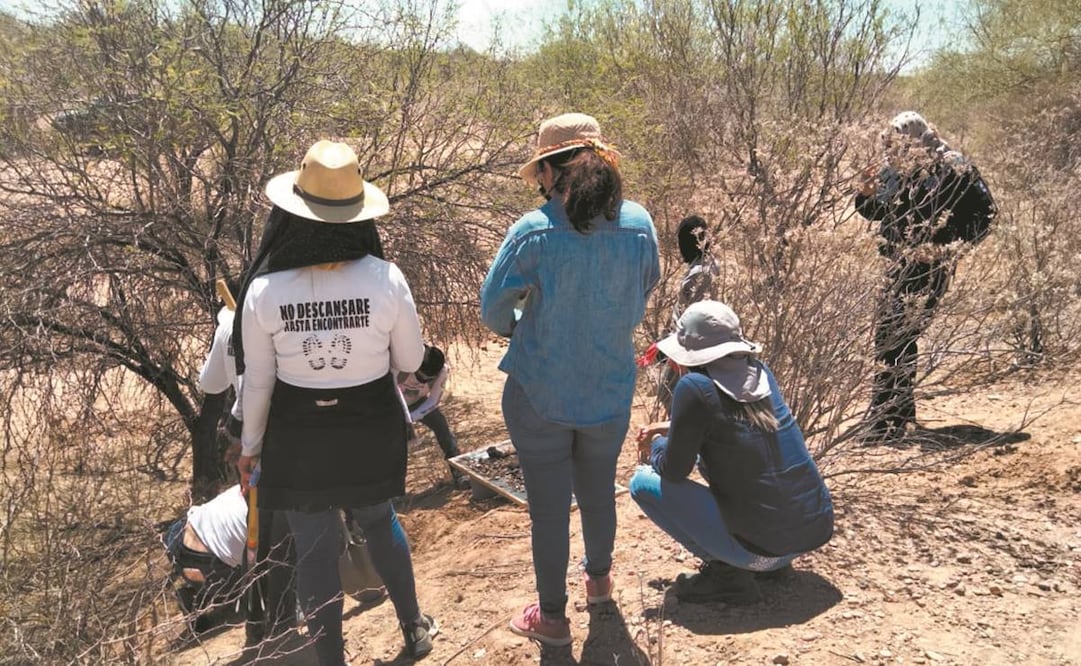 Madres Buscadoras de Sonora agrupa a mil 200 personas. Están presentes en varios municipios de Sonora y se han sumado agrupaciones de Sinaloa y Baja California. Fotos: Especiales.