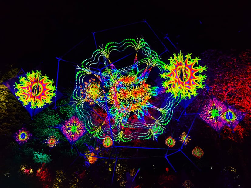 La edición "Solo la luz, primavera" presenta 13 piezas de arte lumínico. Foto: FILUX 2026