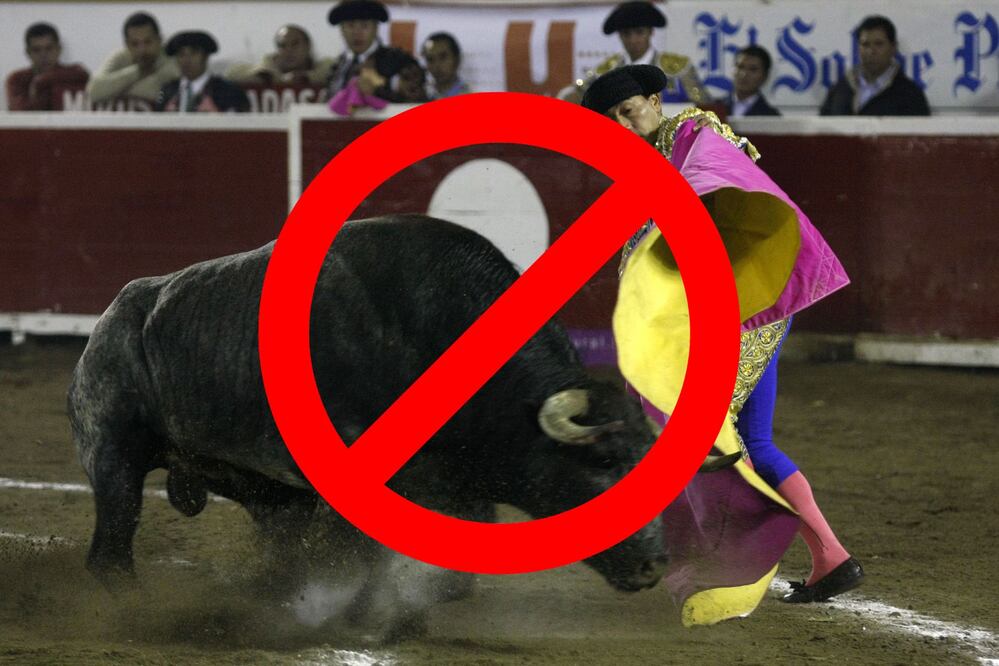 El diputado del PVEM en el Congreso de Hidalgo, Abelino Tovar, presentó una iniciativa para prohibir corridas de toros en el estado. Foto: EsImagen