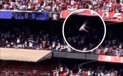 Aficionado cayó de la grada más alta en el Estadio Morumbi