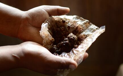 Consumo de opio aumenta el riesgo de cáncer: OMS