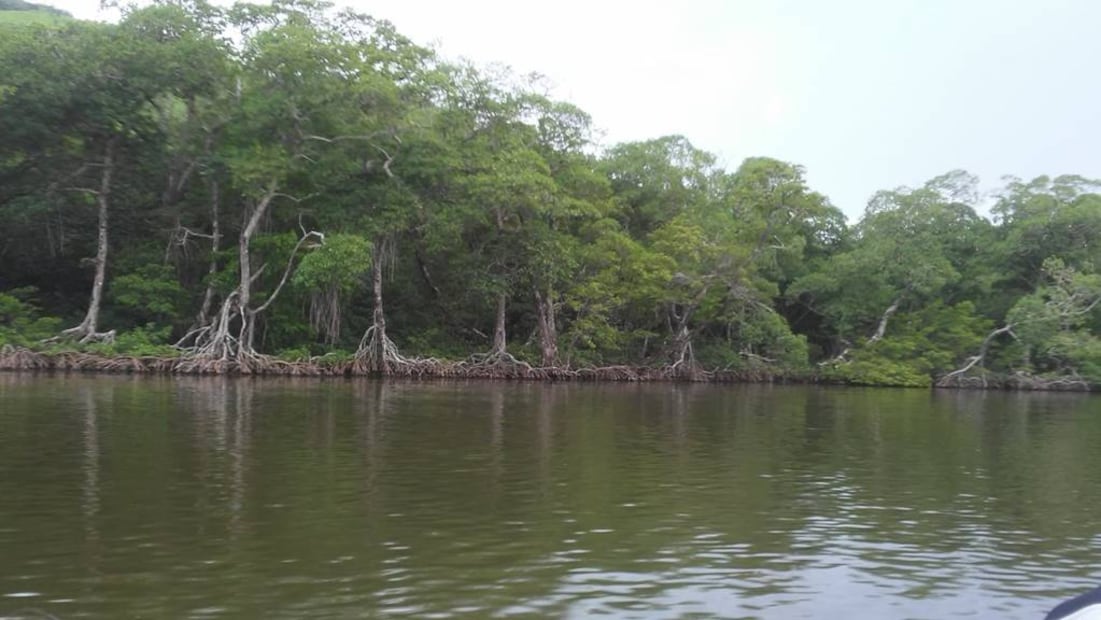 Foto: Reserva de la Biósfera Los Tuxtlas