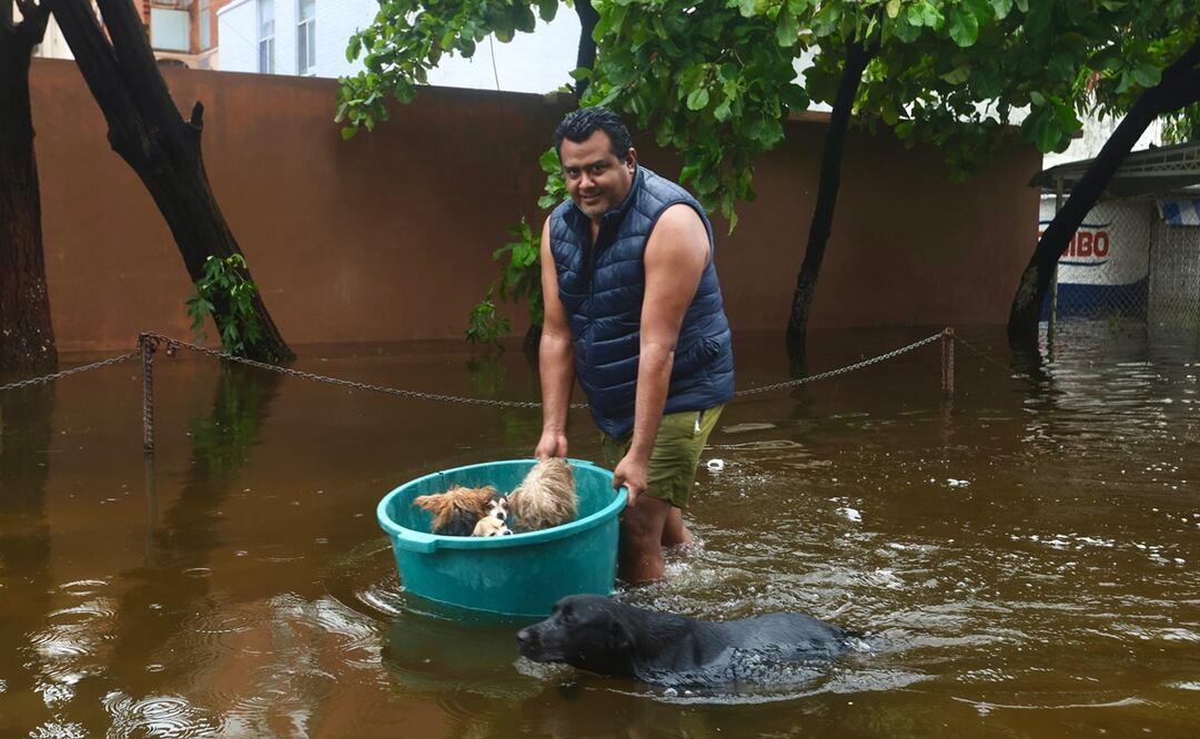 Acapulqueños utilizan sus recursos para rescatar a sus mascotas. Foto: Valente Rosas / EL UNIVERSAL