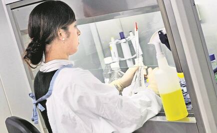 OCDE lamenta que se limite el desarrollo de las mujeres en México