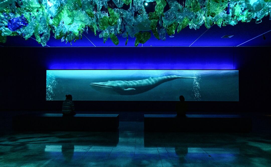 Las "voces del mar de Chile" retumban en pleno centro de Santiago. Foto: Xinhua/Jorge Villegas