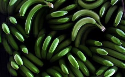 Mexican student uses green plantain to fight diabetes
