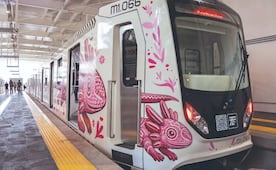 ¡Tren Ligero, excluyente! Accesos a transporte público reservados a aficionados y residentes