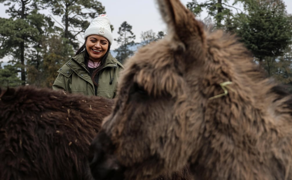 Elizabeth Soto, activista y directora del santuario Seres Libres, en el que rescata burros y caballos. Foto: Gabriel Pano/ EL UNIVERSAL
