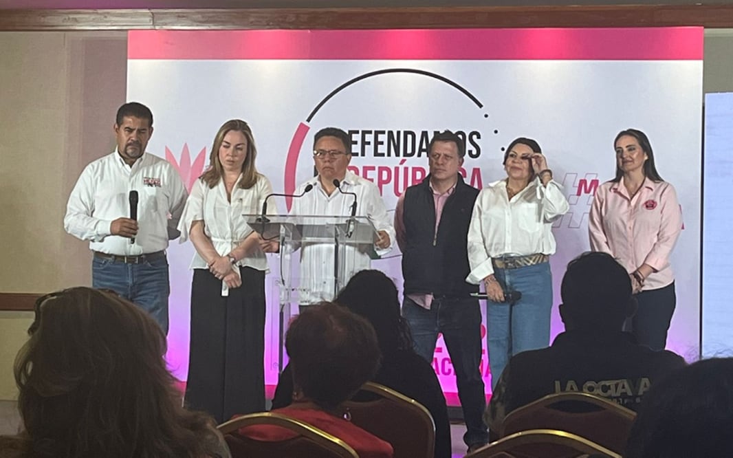 Marcha Marea Rosa. Foto: especial