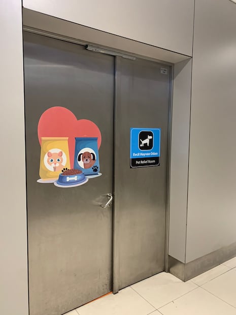 Baño de perritos Estambul. Foto: Especial / Ana Garces