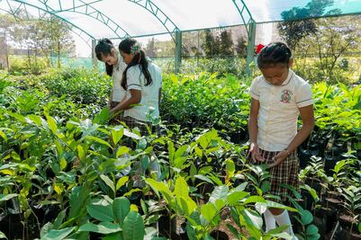 Avances en igualdad de género, insuficientes: CNDH