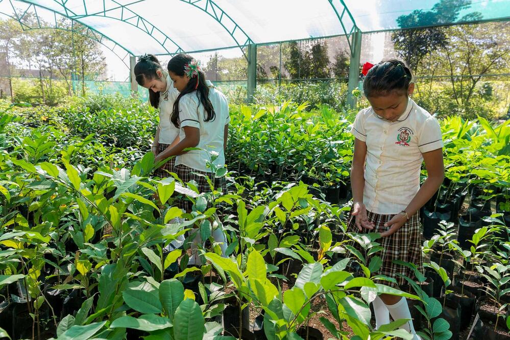 Foto: Archivo/EL UNIVERSAL