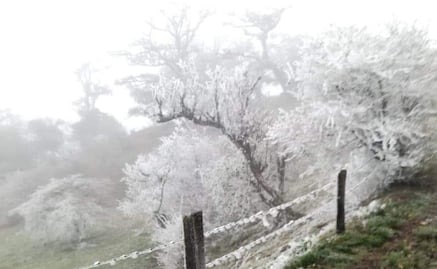 Reportan cencellada y bajas temperaturas en Hidalgo y Veracruz
