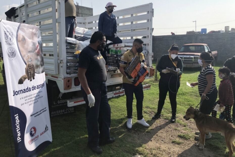 Por Covid-19, UNAM dona 33 toneladas de alimento para mascotas en CDMX
