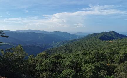 Firman manifiesto internacional contra minera canadiense en selva de Los Chimalapas