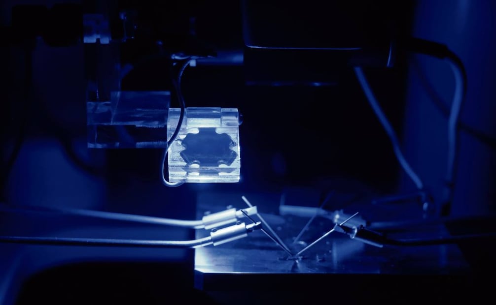 Semiconductores. Cinvestav, junto con INAOE, coordinan el Centro de Diseño de Semiconductores
Kutsari, uno de los proyectos prioritarios de México.Foto: Efrén Díaz / Cinvestav