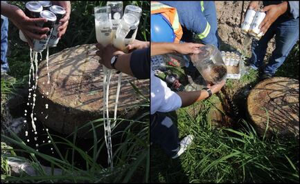 Destruyen cerveza y vino de dudosa procedencia en Celaya