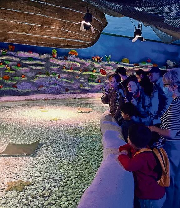 Un grupo pudo conocer el acuario en Polanco gracias al programa Colibrí Viajero. Foto: Laura Arana / El Universal