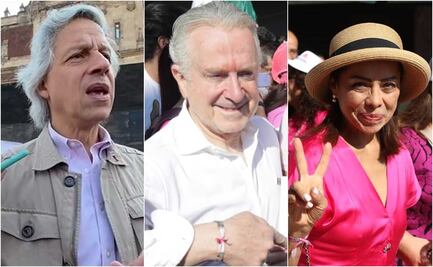 ¿Qué políticos asistieron a la concentración en defensa del INE? 