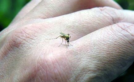 Refuerzan jornada contra dengue, zika y chikungunya