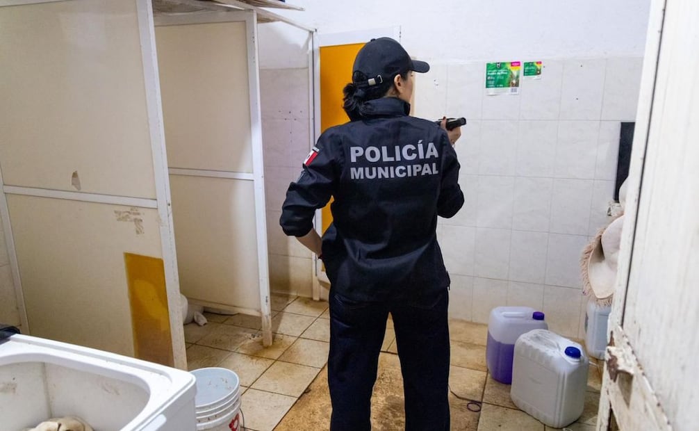 Los elementos constataron que los animales se encontraban en condiciones inadecuadas, como la  acumulación de basura, y no contar con personal técnico especializado para el manejo de estas especies. | Foto: Especial.